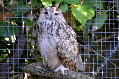 World of Birds Wildlife Sanctuary.